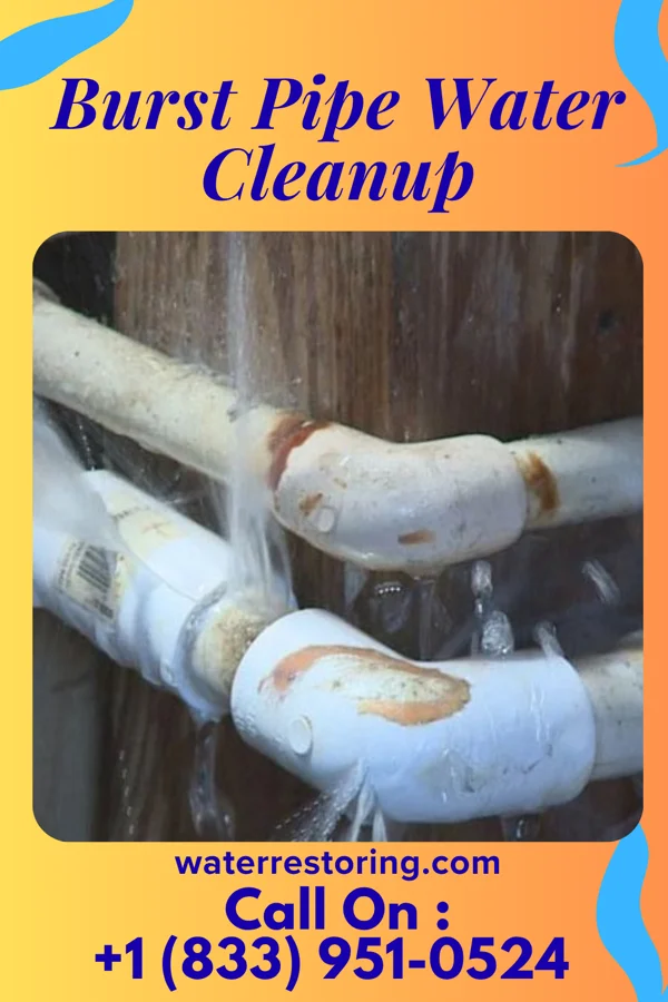 Burst Pipe Water Cleanup in Mendota Heights, MN