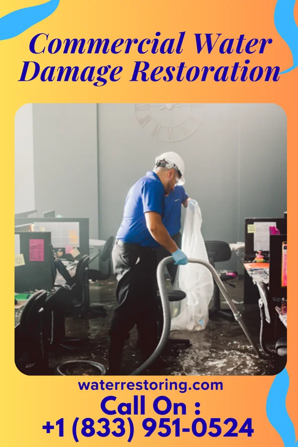 Commercial Water Damage Restoration in Mendota Heights, MN