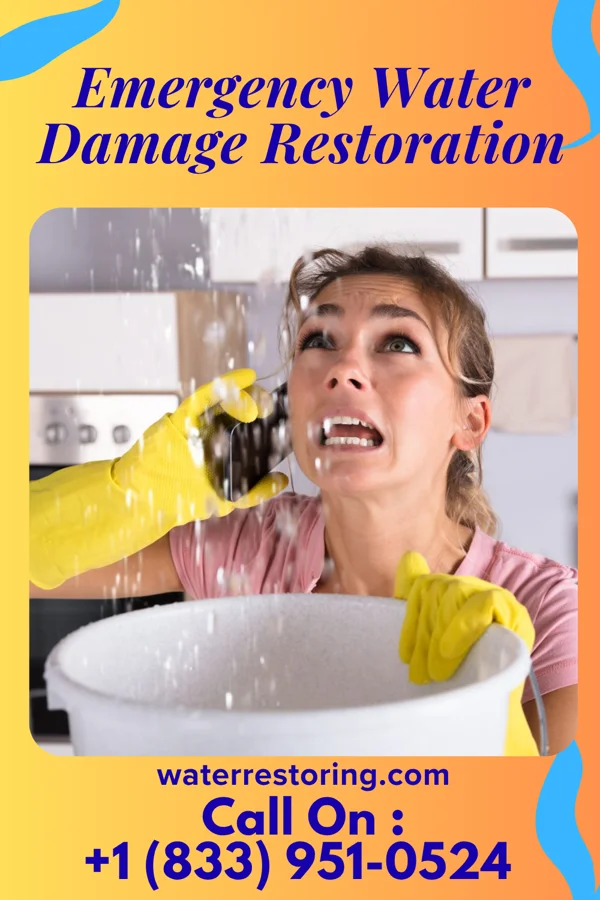 Emergency Water Damage Restoration in Mendota Heights, MN