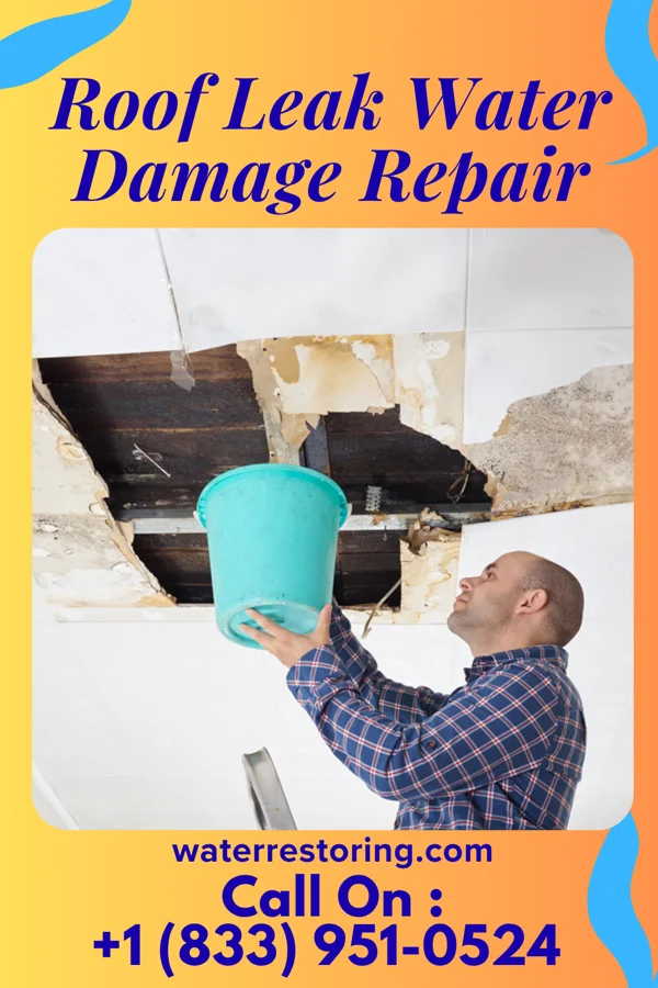 Roof Leak Water Damage Repair in Mendota Heights, MN